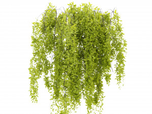 Collection Plant Vol 281 - Blender Model Modelo 3D