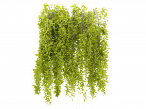Collection Plant Vol 281 - Blender Model Modelo 3D
