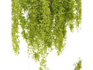 Collection Plant Vol 281 - Blender Model Modelo 3D