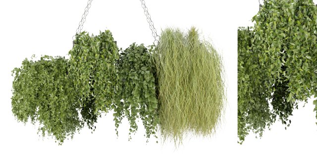 Collection Plant Vol 282 - Blender Model Modelo 3D .c4d .max .obj .3ds .fbx .stl .blend 
