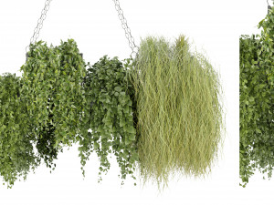 Collection Plant Vol 282 - Blender Model Model 3D