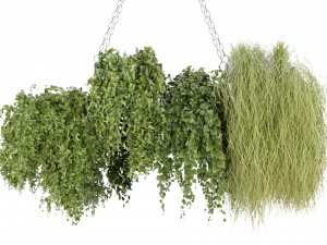 Collection Plant Vol 282 - Blender Model Modelo 3D