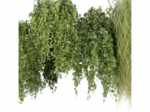 Collection Plant Vol 282 - Blender Model Modelo 3D