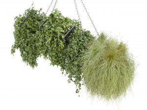 Collection Plant Vol 282 - Blender Model Modelo 3D