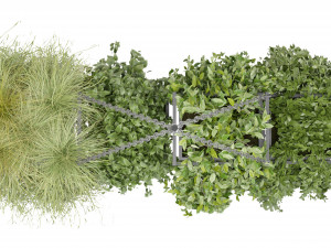 Collection Plant Vol 282 - Blender Model Modelo 3D