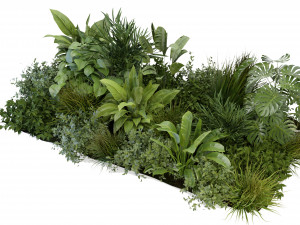 Collection Plant Vol 283 - Blender Model Modello 3D