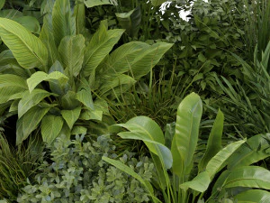 Collection Plant Vol 283 - Blender Model 3D Model