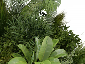 Collection Plant Vol 283 - Blender Model 3D Model