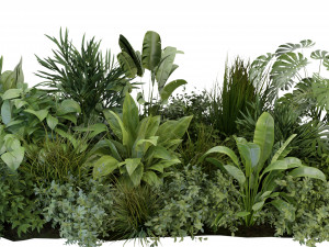 Collection Plant Vol 283 - Blender Model Modello 3D