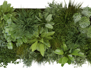 Collection Plant Vol 283 - Blender Model Modello 3D