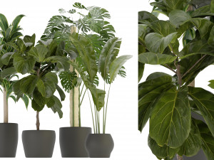 Collection Plant Vol 286 - Blender Model 3D Model