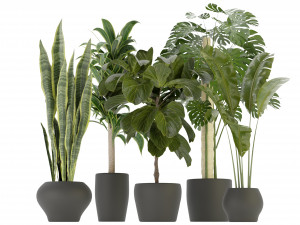 Collection Plant Vol 286 - Blender Model Model 3D