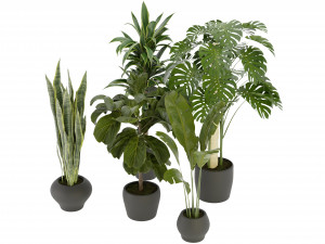 Collection Plant Vol 286 - Blender Model Model 3D