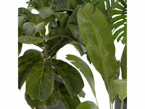 Collection Plant Vol 286 - Blender Model Model 3D
