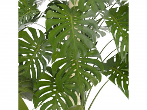 Collection Plant Vol 286 - Blender Model Model 3D