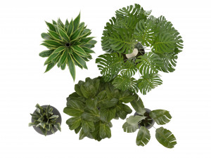 Collection Plant Vol 286 - Blender Model Model 3D