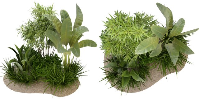 Collection Plant Vol 288 - Blender Model 3D 模型 .c4d .max .obj .3ds .fbx .stl .blend 