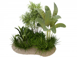 Collection Plant Vol 288 - Blender Model 3D Model
