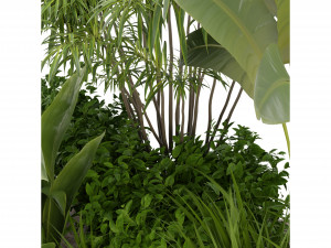 Collection Plant Vol 288 - Blender Model 3D 模型