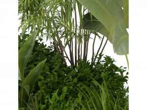 Collection Plant Vol 288 - Blender Model 3D Model