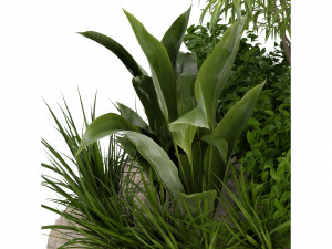 Collection Plant Vol 288 - Blender Model 3D 模型