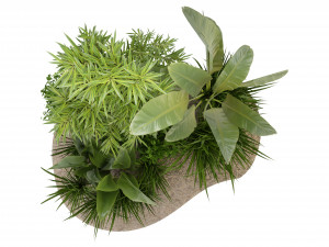 Collection Plant Vol 288 - Blender Model 3D 模型