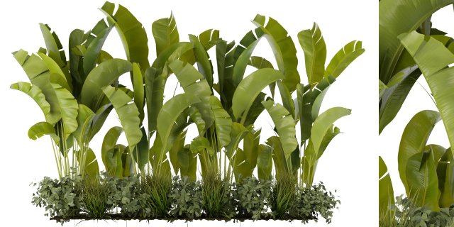 Collection Plant Vol 289 - Blender Model 3D 模型 .c4d .max .obj .3ds .fbx .stl .blend