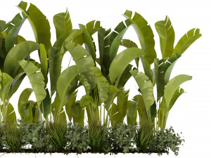 Collection Plant Vol 289 - Blender Model 3D Модель