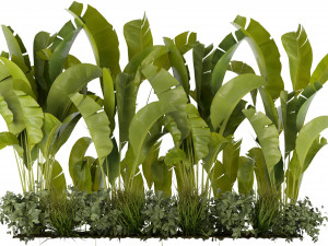 Collection Plant Vol 289 - Blender Model 3D 模型