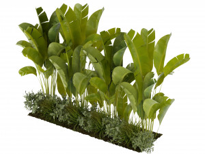 Collection Plant Vol 289 - Blender Model 3D 模型