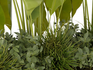Collection Plant Vol 289 - Blender Model 3D 模型