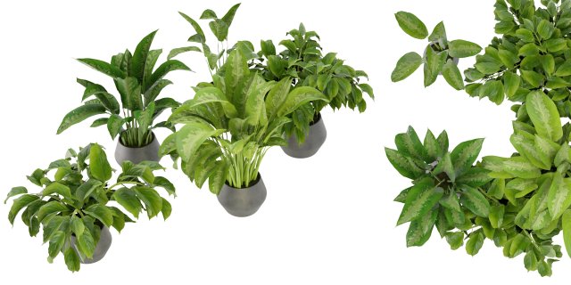 Collection Plant Vol 290 - Blender Model Modello 3D .c4d .max .obj .3ds .fbx .stl .blend 
