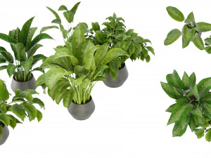 Collection Plant Vol 290 - Blender Model 3D Model