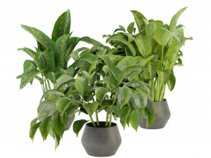 Collection Plant Vol 290 - Blender Model Modello 3D