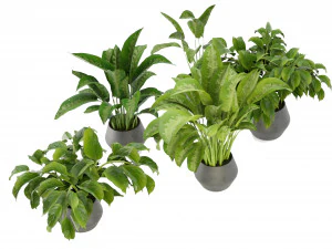 Collection Plant Vol 290 - Blender Model 3D Model
