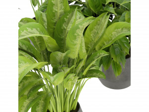 Collection Plant Vol 290 - Blender Model Modello 3D