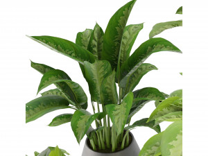 Collection Plant Vol 290 - Blender Model Modello 3D