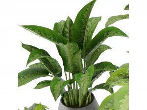 Collection Plant Vol 290 - Blender Model 3D Model