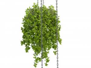 Collection Plant Vol 291 - Blender Model 3D Model