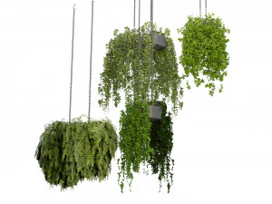 Collection Plant Vol 291 - Blender Model 3D Model