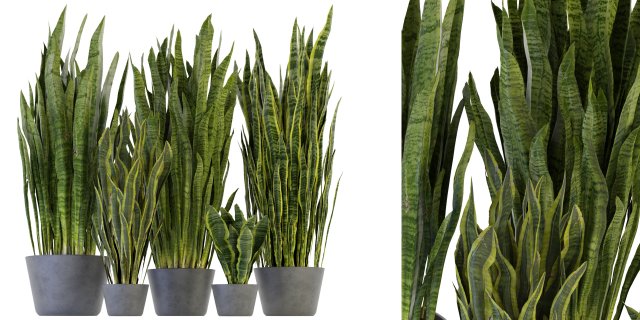 Collection Plant Vol 292 - Blender Model 3D Модель .c4d .max .obj .3ds .fbx .stl .blend 