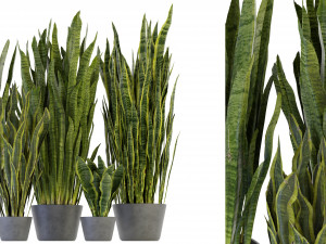 Collection Plant Vol 292 - Blender Model 3D Model