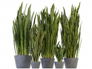 Collection Plant Vol 292 - Blender Model 3D Модель
