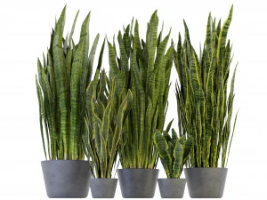 Collection Plant Vol 292 - Blender Model 3D Model