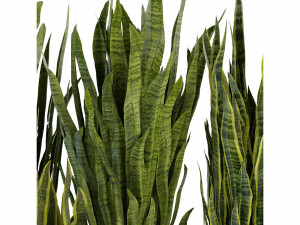 Collection Plant Vol 292 - Blender Model 3D Модель