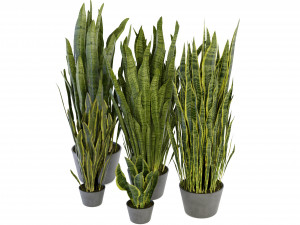 Collection Plant Vol 292 - Blender Model 3D Модель