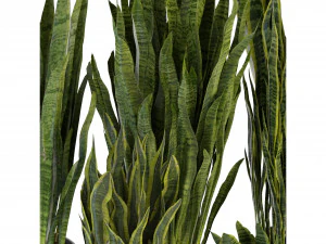 Collection Plant Vol 292 - Blender Model 3D Model