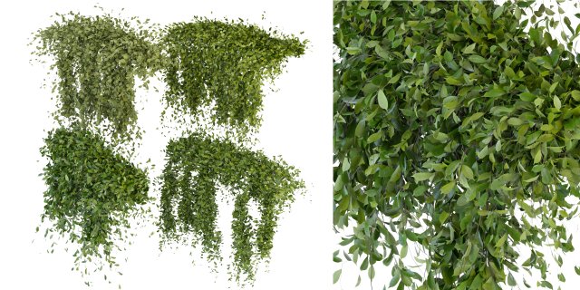 Collection Plant Vol 293 - Blender Model 3D Model .c4d .max .obj .3ds .fbx .stl .blend 
