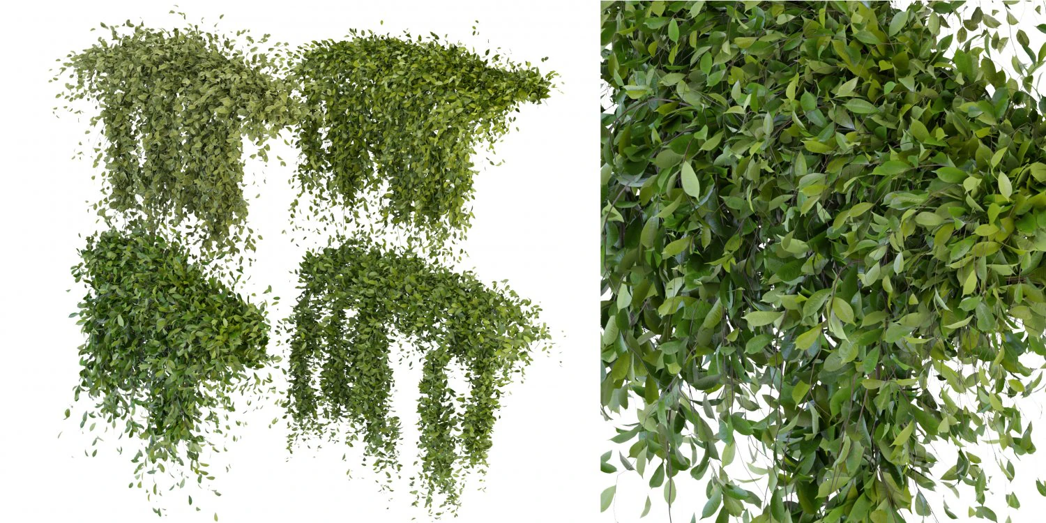 Collection Plant Vol 293 - Blender Model 3D Model .c4d .max .obj .3ds .fbx .stl .blend 