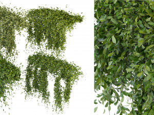 Collection Plant Vol 293 - Blender Model 3D Model